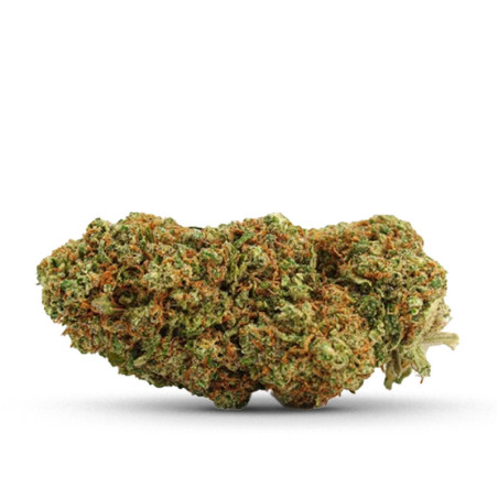 BLUEBERRY MUFFIN KWIAT CBD... - alt