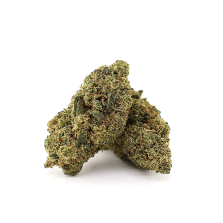 TINKY WINKY 50% MAGIC SAUCE... - alt