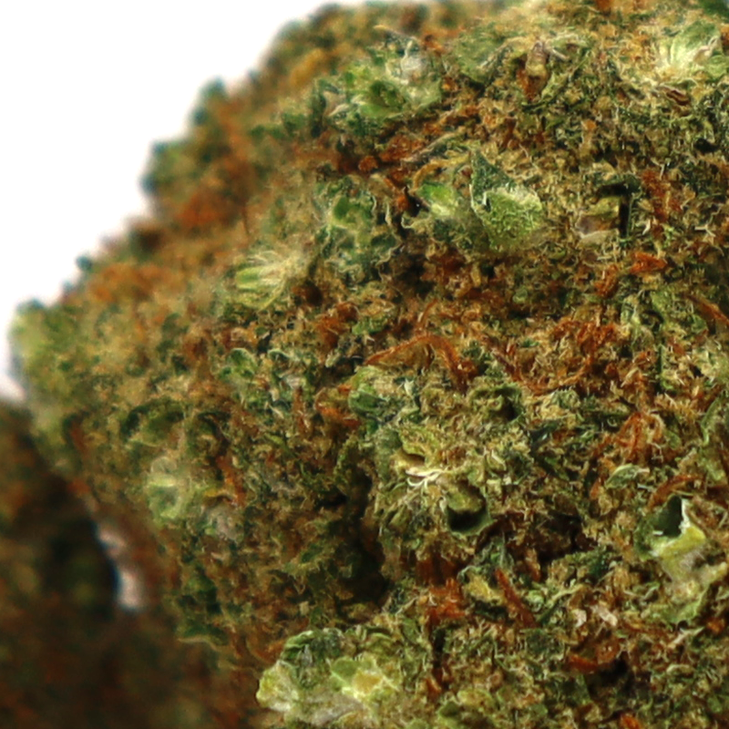 TRIPLE SCOOP KWIAT CBD COOKIES