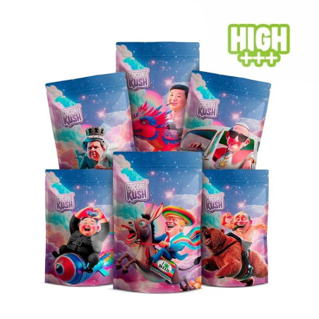 DYPLOMATYCZNA WALIZKA HEC-10 - alt