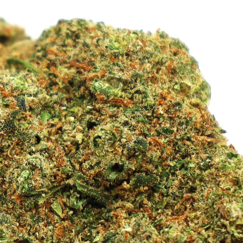 TEQUILA SUNRISE KWIAT CBD COOKIES