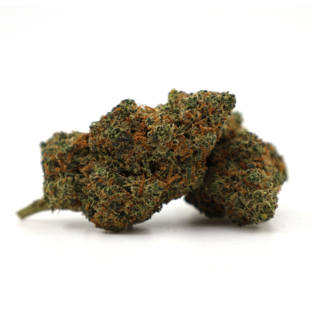 CHRONIC ICE 25% KWIAT THCA