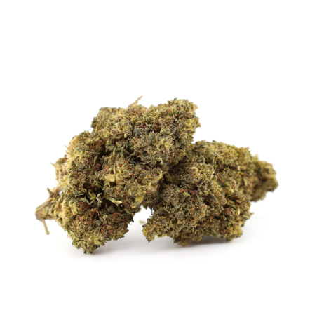 MUNCHIES HAZE 26% KWIAT THCA