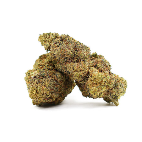 JAPONESE PEACH 41% KWIAT THCA