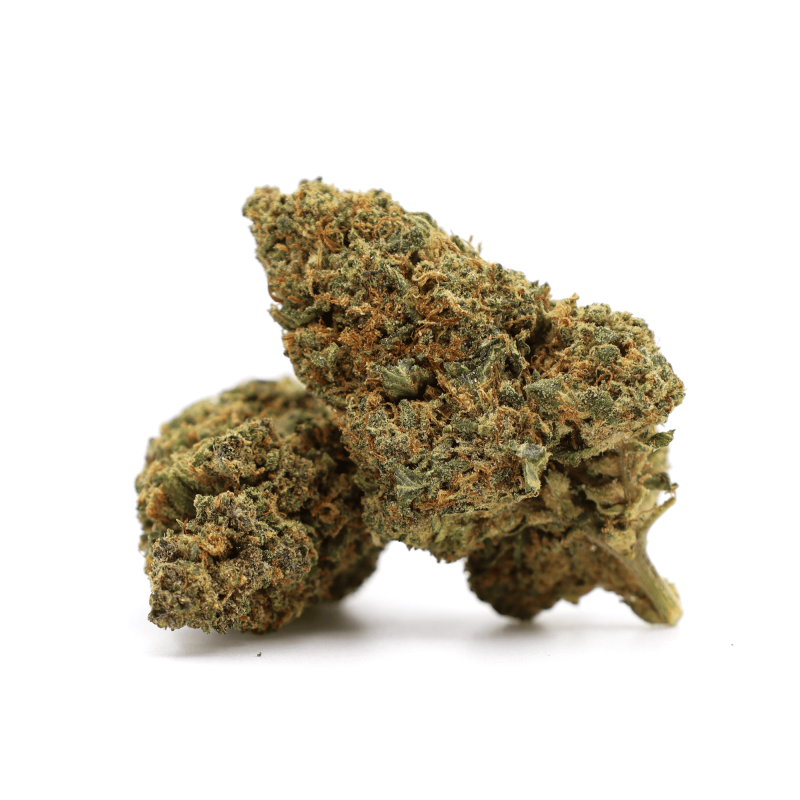 GELATO 41 40% KWIAT THCA