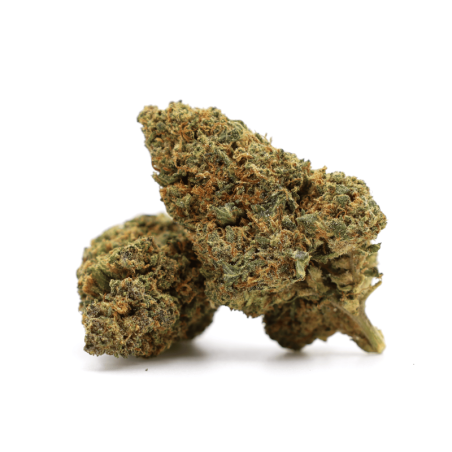 GELATO 41 40% KWIAT THCA