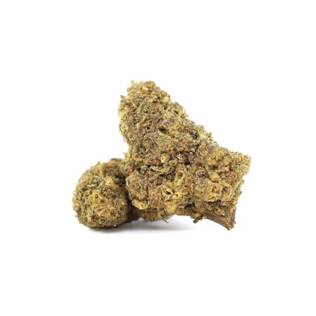 WALKIE TALKIE 43% KWIAT THCA