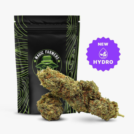 JEALOUSY 35% KWIAT THCA