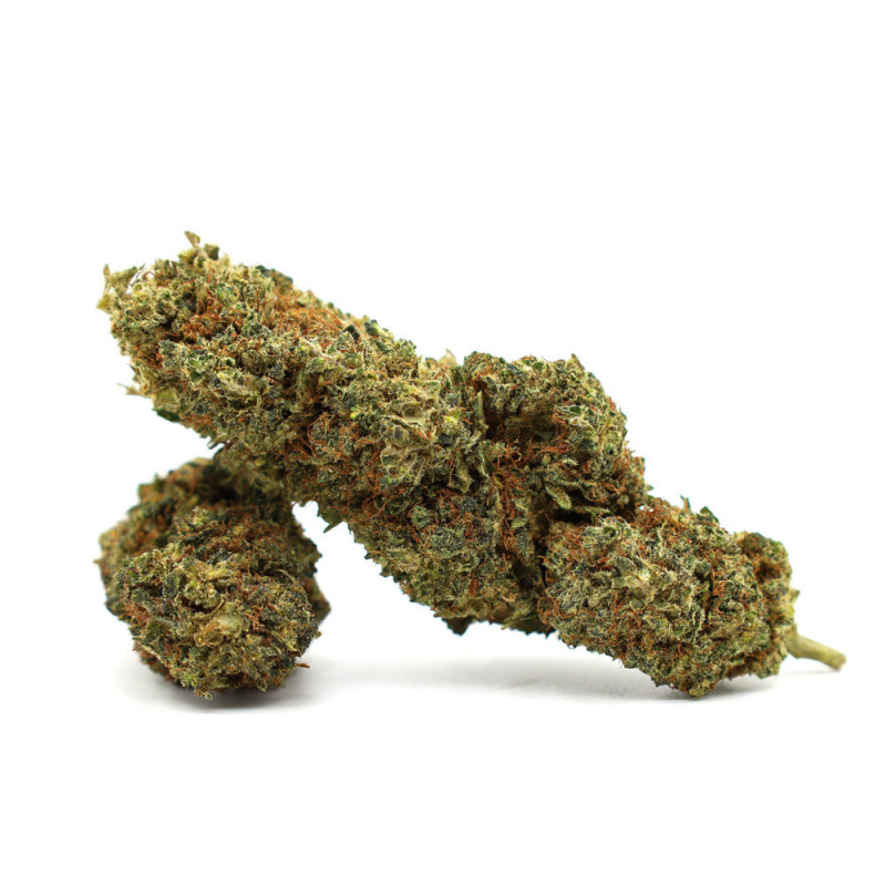 JEALOUSY 35% KWIAT THCA