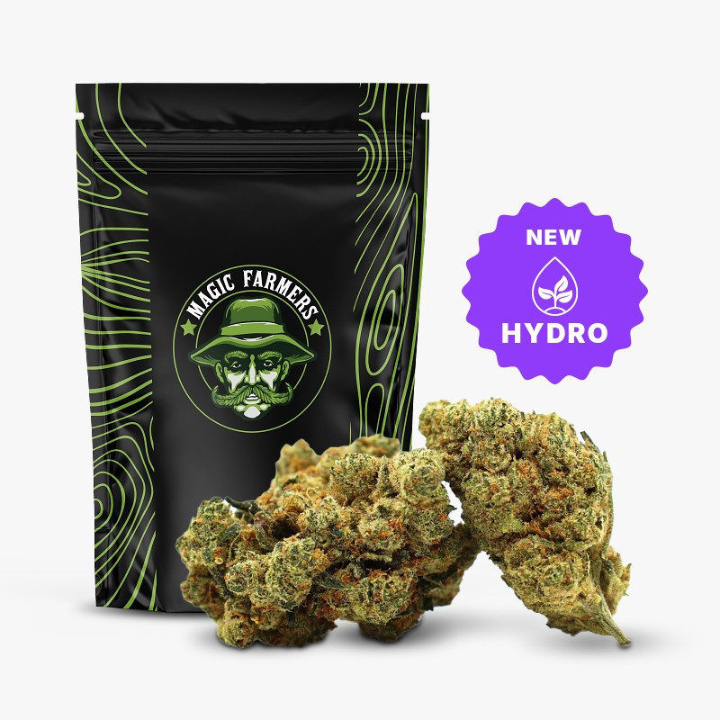 CHAMPAGNE HAZE 36% KWIAT THCA