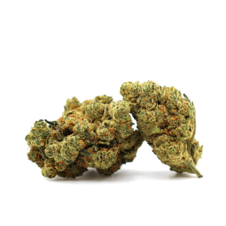 CHAMPAGNE HAZE 36% KWIAT THCA - alt