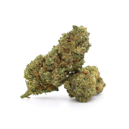 HOT SAIGON 30% FLEUR 10-OH-HHC