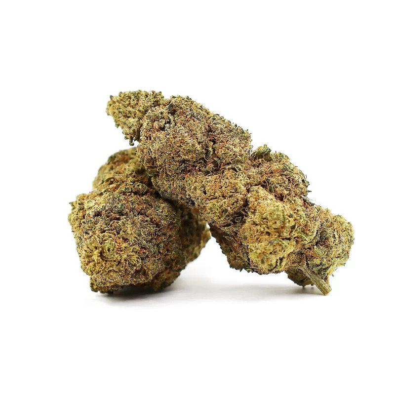 LONDON LOBSTER 50% FLEUR MAGIC SAUCE