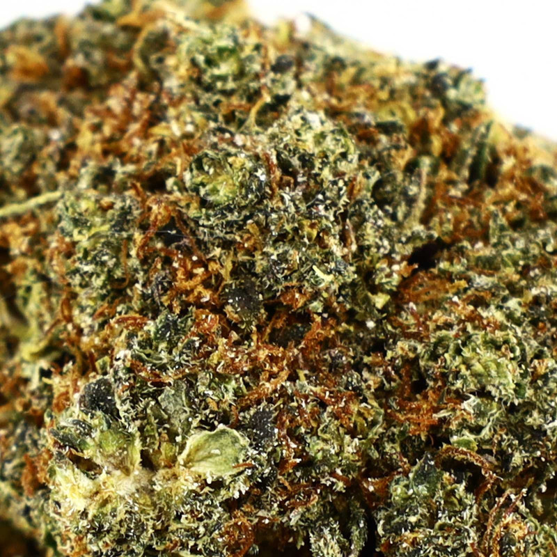 BERRY PIE KWIAT COOKIES