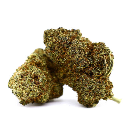 CHEETAH PISS KWIAT COOKIES - alt