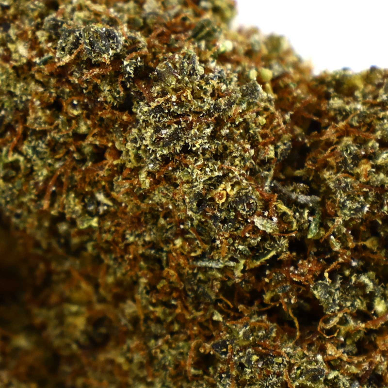 CHEETAH PISS KWIAT COOKIES