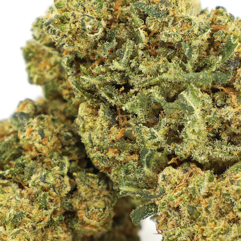 FISH SCALE KWIAT COOKIES