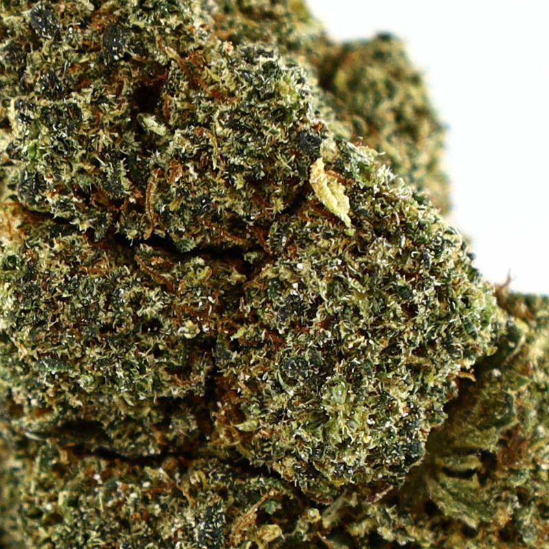 LAUGHING GAS KWIAT COOKIES