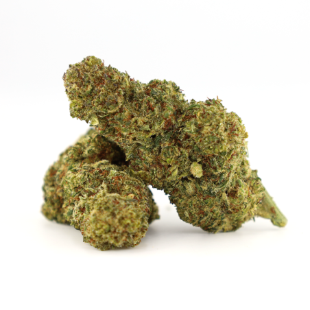 OCEAN BEACH KWIAT COOKIES - alt