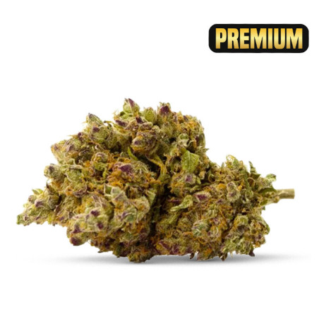 ROYAL GORILLA KWIAT CBD... - alt