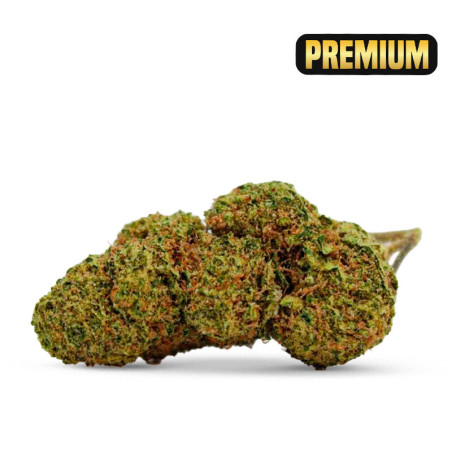 NORTH THUNDERFUCK KWIAT CBD... - alt