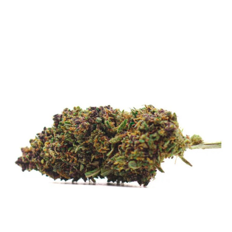 PURPLE PUNCH CBD COCORIKUSH - alt