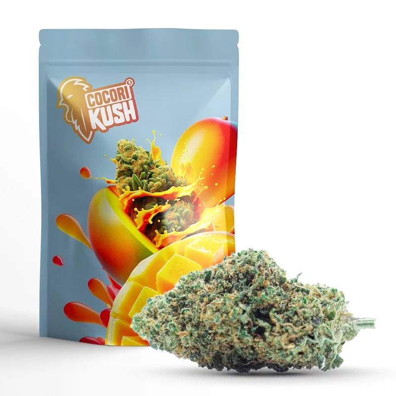 CBD COCORIKUSH KWIAT GELATO