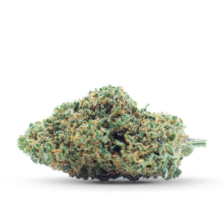 CBD COCORIKUSH KWIAT GELATO - alt