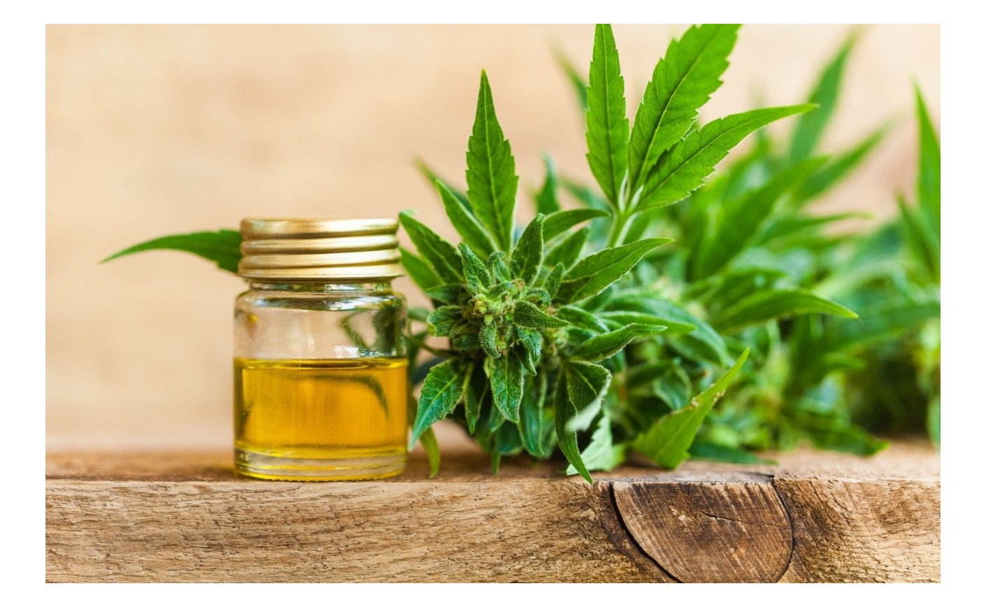 THCJD: Nowy kannabinoid o silnych efektach i potencjale terapeutycznym